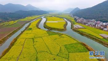 南方大地,多彩风情与绿色画卷的交融