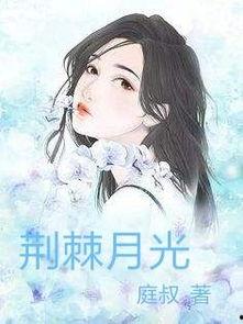 荆棘与月光,探寻人生坎坷中的光明与希望