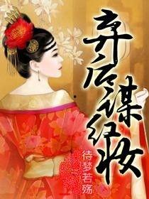 红妆谋,宫廷权谋与红颜命运的交织